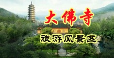 我是淫荡的母狗中国浙江-新昌大佛寺旅游风景区